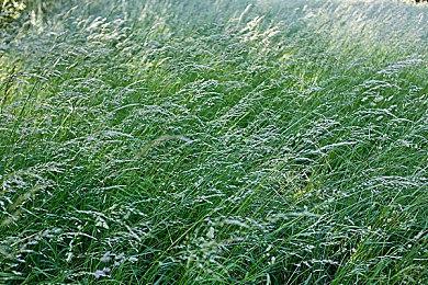 《For The Stars》作为3A沙盒游戏的全新旗舰，将打破太空游戏的边界